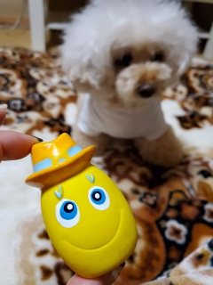 ���܂��������ǂ�