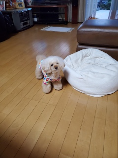 ���낻��