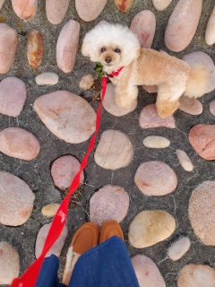 �����O�Ȃ��U��