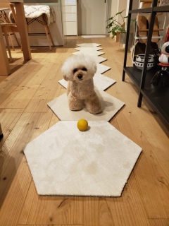 ����́A�Ȃ��Ȃ�