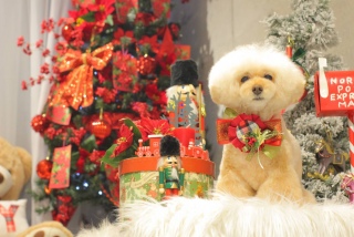 ���͂悤�������܂�