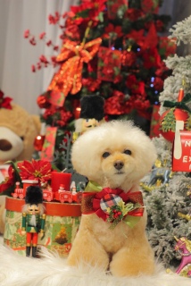 ���񂾂񊦂��Ȃ��Ă���