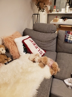 ���������