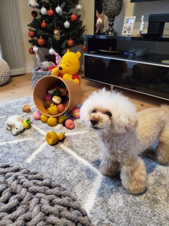 ����������