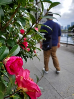 �������A�y�����I���ȁ[