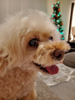 �x�X�g�A�[�e�B�X�g2019