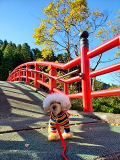 �g�t�́A�A�A