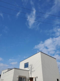 �������B