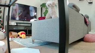 �����狏�ȕP����