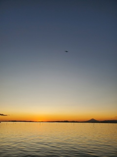 �x�m�R�Ɨ[��