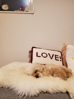 ���₷�݂�