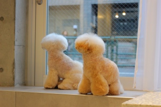 ���҂�2����