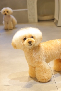 �����ȁ[