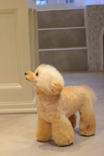 �����̕P�����