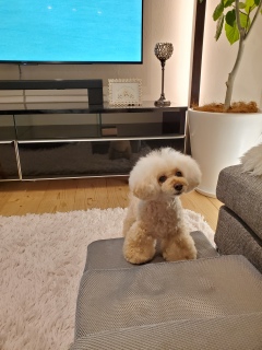 �K������������