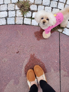 ������������Ȉ���ł����B