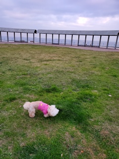 ���₷�݂��`