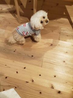 ���肪�Ƃ�