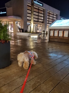 ���U����