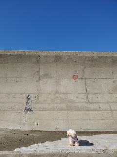 �o���N�V�[��