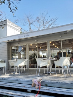 ���΁A�K���X�̂��X