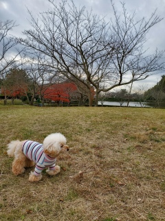 �Y�N��X���[