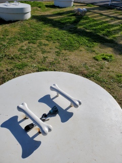 �{�����|�J�|�J�ł�