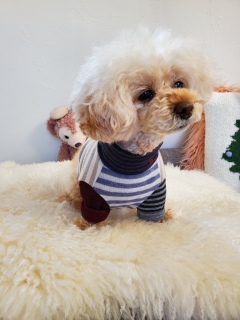 �������ˁA�A�A