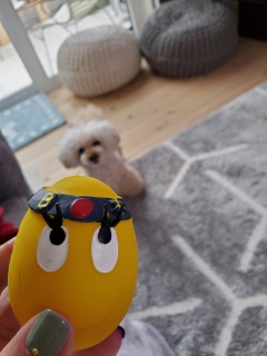 ���܂������