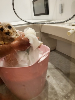 ����������