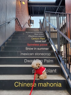 ����������