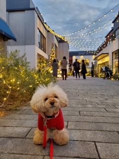 �����́A���������Ȃ����H