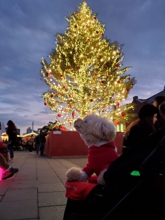 �܂��܂��A�ԃ����K��