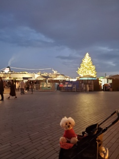 �V�j�A��2�l