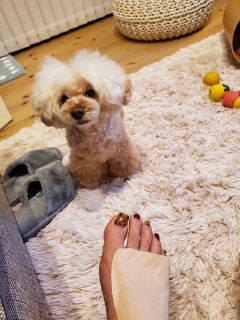 �Ђ��[�[�[�[�[