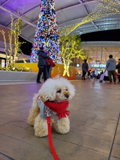 ���U���`