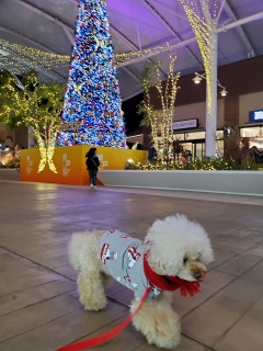 �������A�A�A