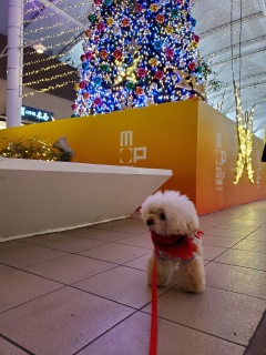 ���Ȏ��͂��Ȃ���I