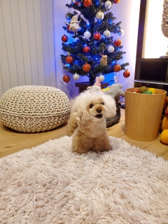 �L���L��