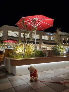 ���U����