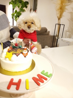 �N���X�}�X�C�u