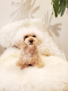 �������؂ɁB