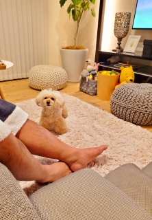 �N���Ă���邩�ˁH