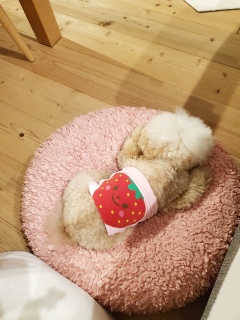Yꕨ