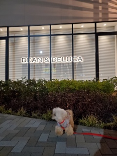 Ă