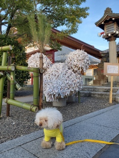 肢