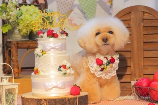 Happybirthday!!!