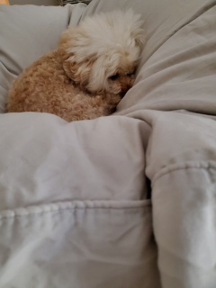 �������ƁA�A�A