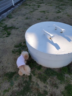 ���U����