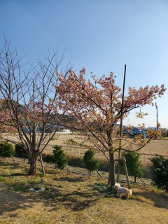 �҂��q������